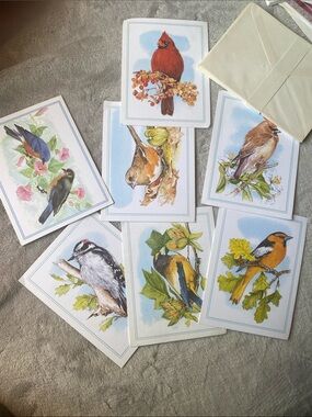 Set of Assorted Bird Ron SchreinervNote Cards in Red, Orange, Brown & Blue